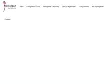 Tablet Screenshot of flamingon.se